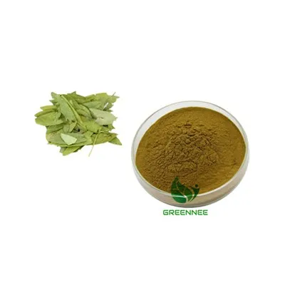 Buchu Leaf Extract Barosma Betulina Extract